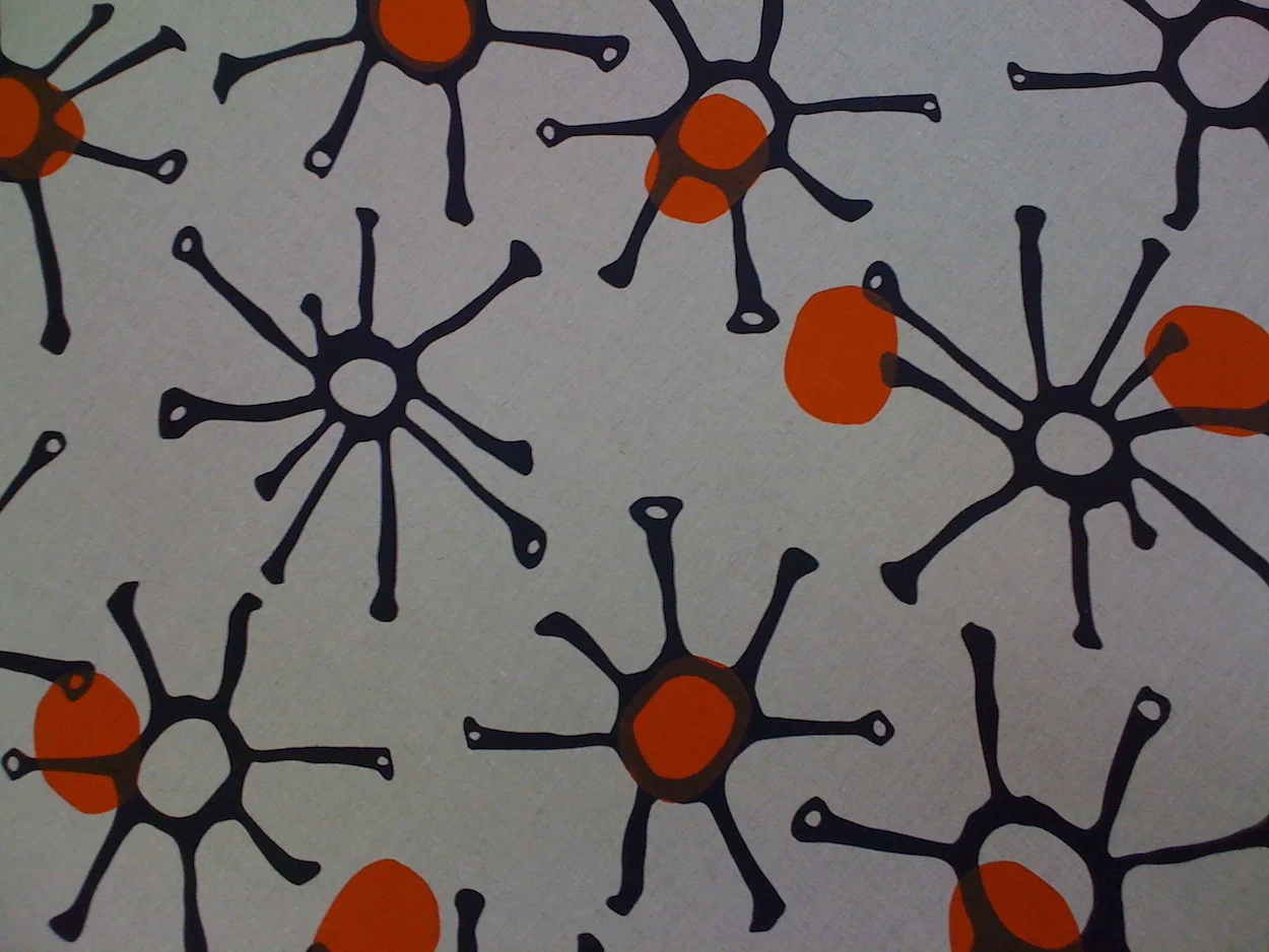 RoCook_three eyes.jpg