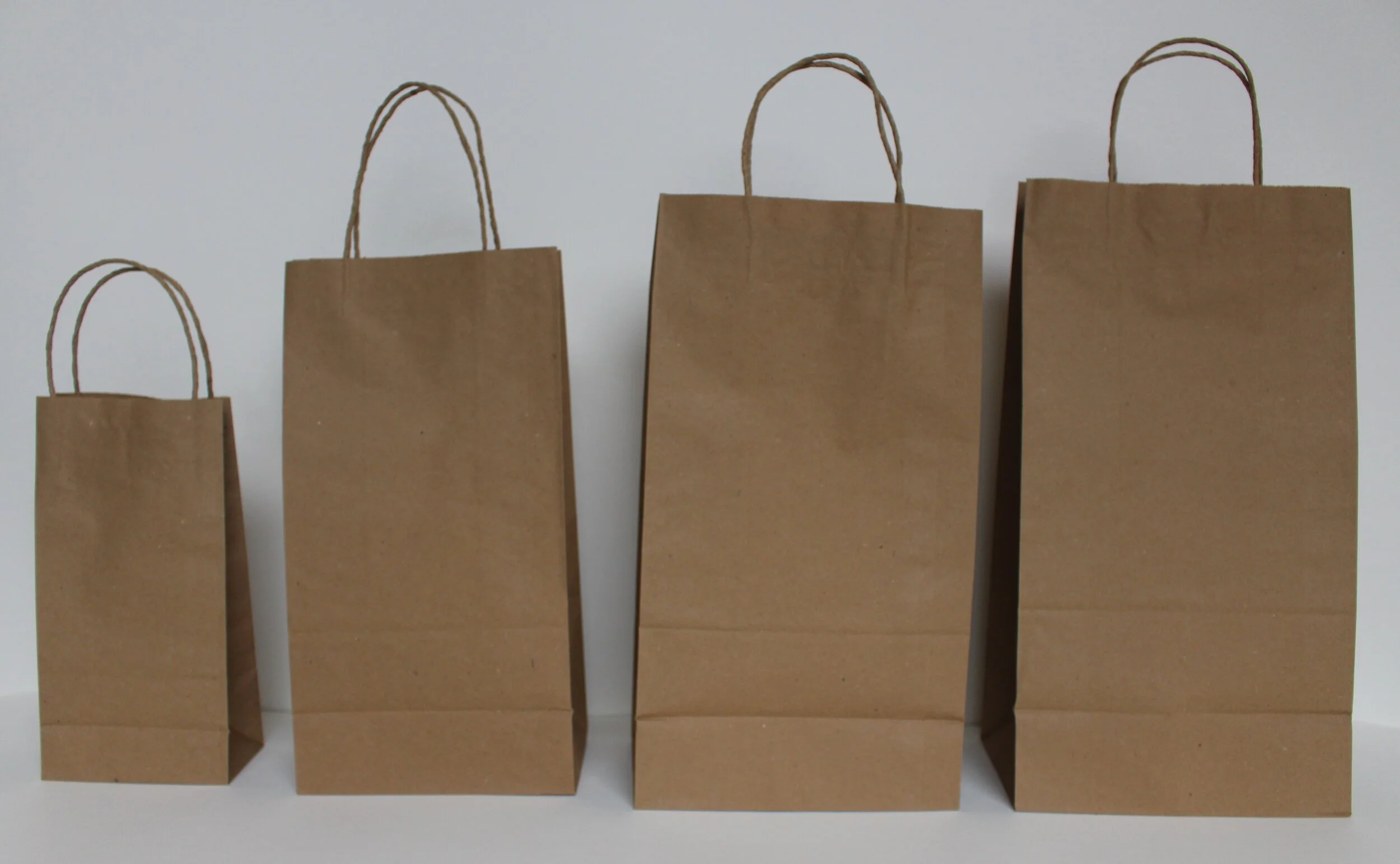 Paper Bag with Handles_front view.jpg