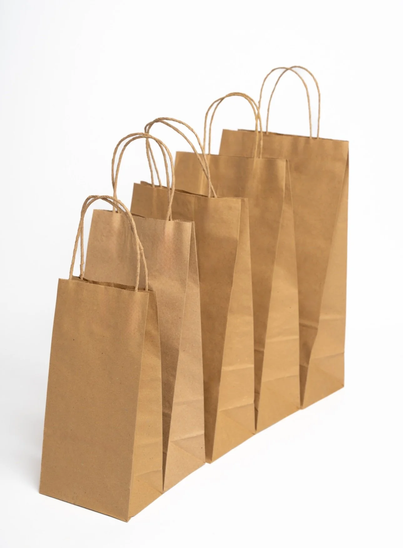 Brown Paper Bag with Handle (Twine handle)