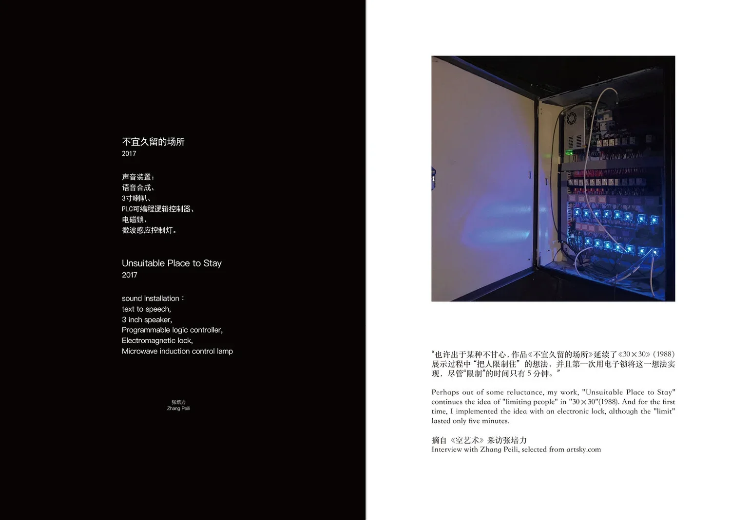 张培力跨页4.webp