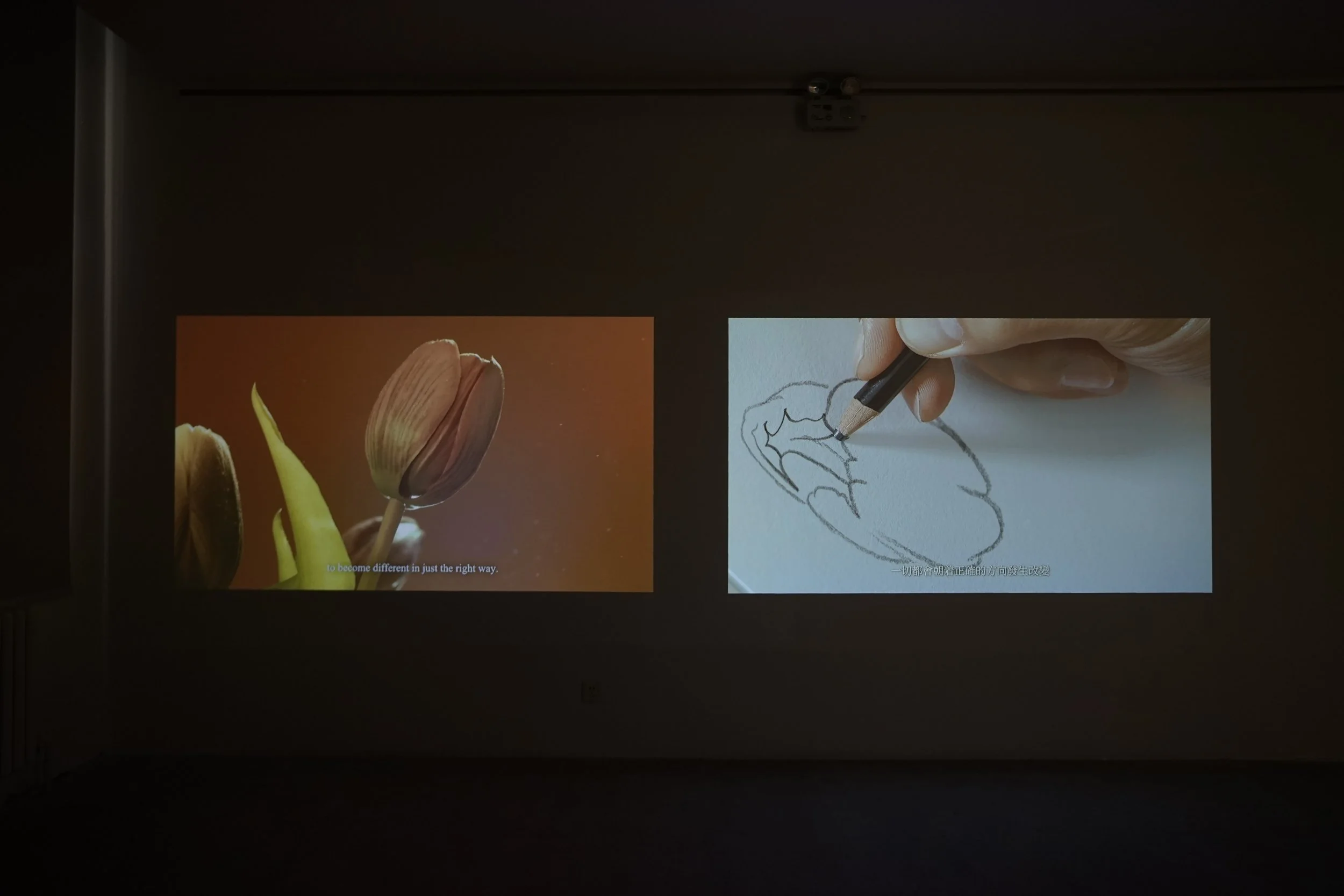 Tang Han & Zhou Xiaopeng_Affects Photo_Photo by Wang Yue_8©️DRC No.12 Foundation.JPG