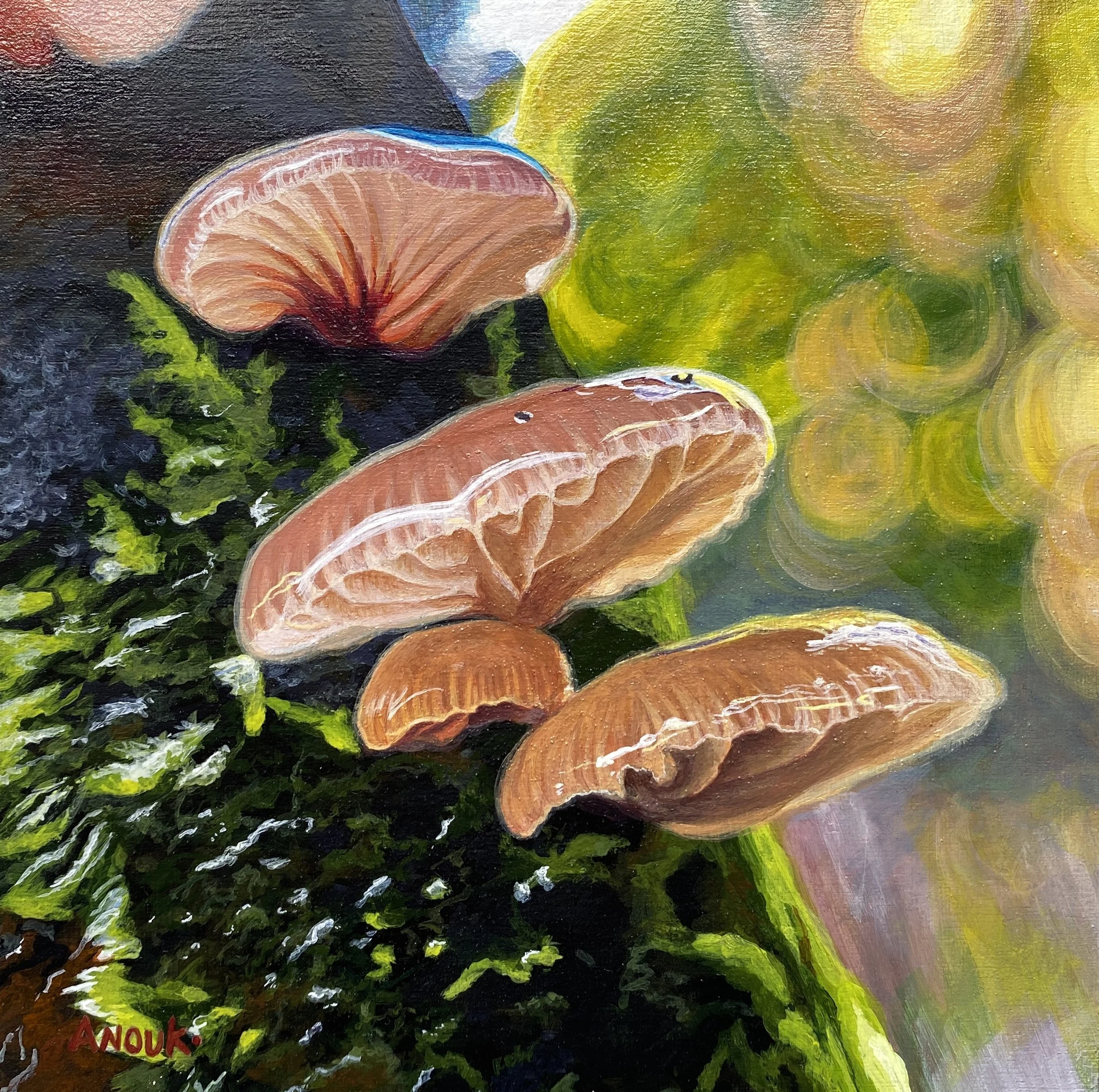 Oyster Mushroom - SOLD