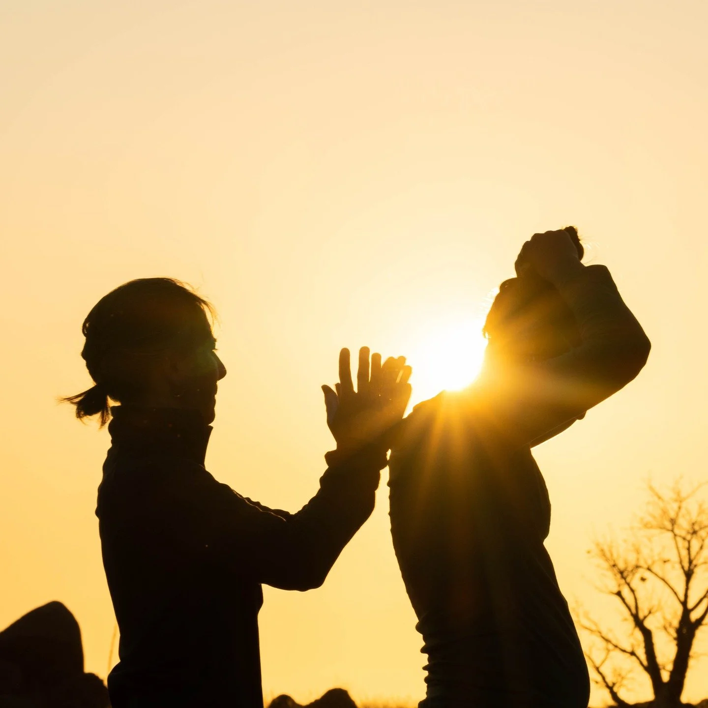 *** NEW DATES *** THE MATRIARCH ADVENTURE 30th SEPTEMBER - 9th OCTOBER 2025

I ran the first Matriarch Adventure in 2017 and since then, over 150 women have joined me on this expedition of discovery, conservation and sheer epicness! 
It's very hard t