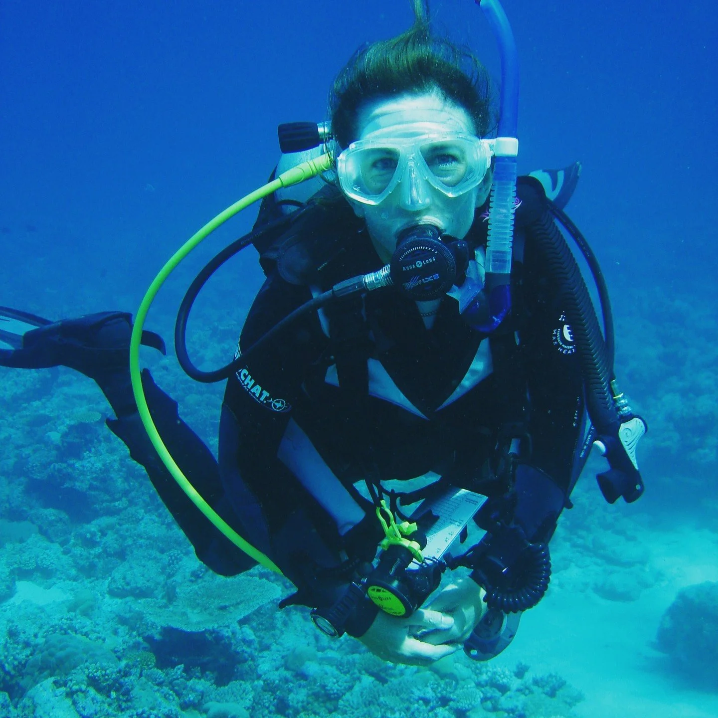 So, as some of you may know I have spent many years working as a Reef Check trainer, leading marine conservation expeditions and working on various marine based citizen science projects around the world with whale sharks, sperm whales, dolphins and o