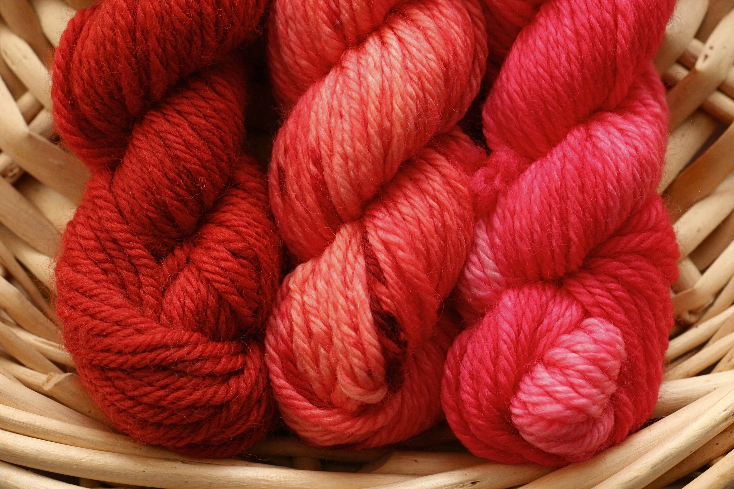 Untitled design_20251119_105446_0000.png