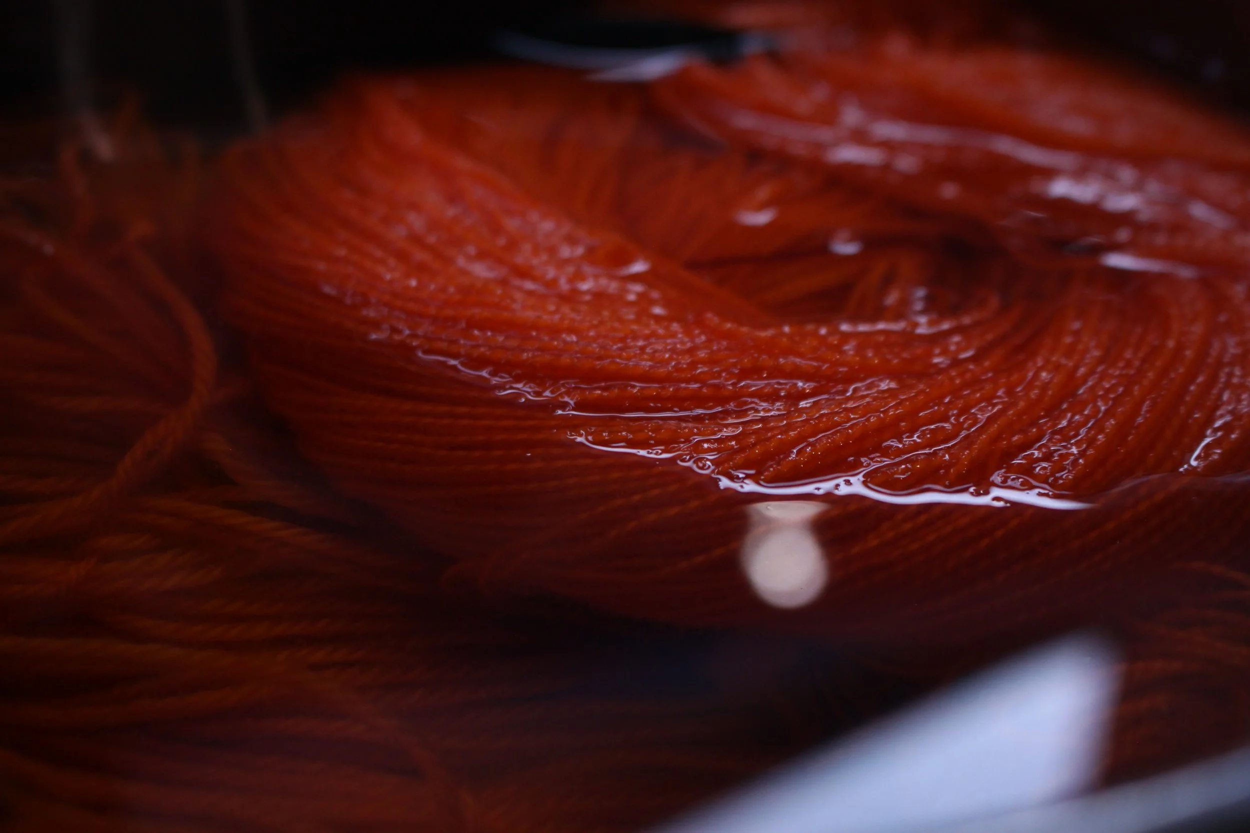 fox-indie-yarn-club (1).JPG