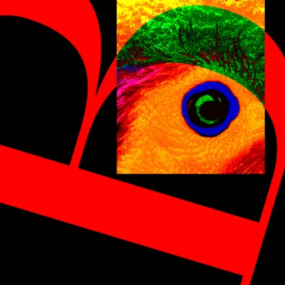 ss_thumbnail_landoftheblind_chicken.jpg