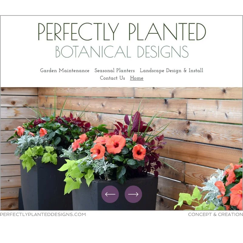 ss_perfectlyplanted_website.jpg