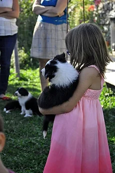 prevention-morsure-enfants.jpg