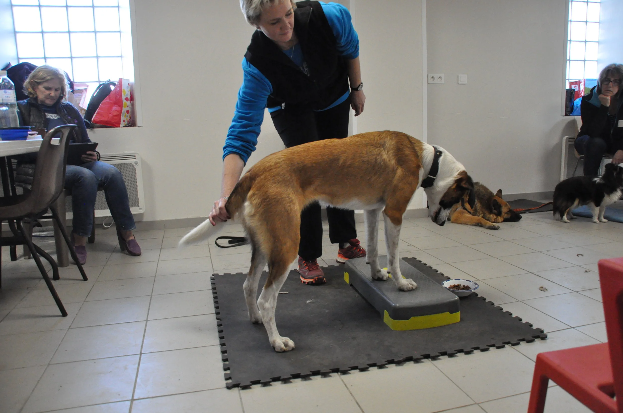 Stage Techniques d'entrainement et Médical training - PARIS