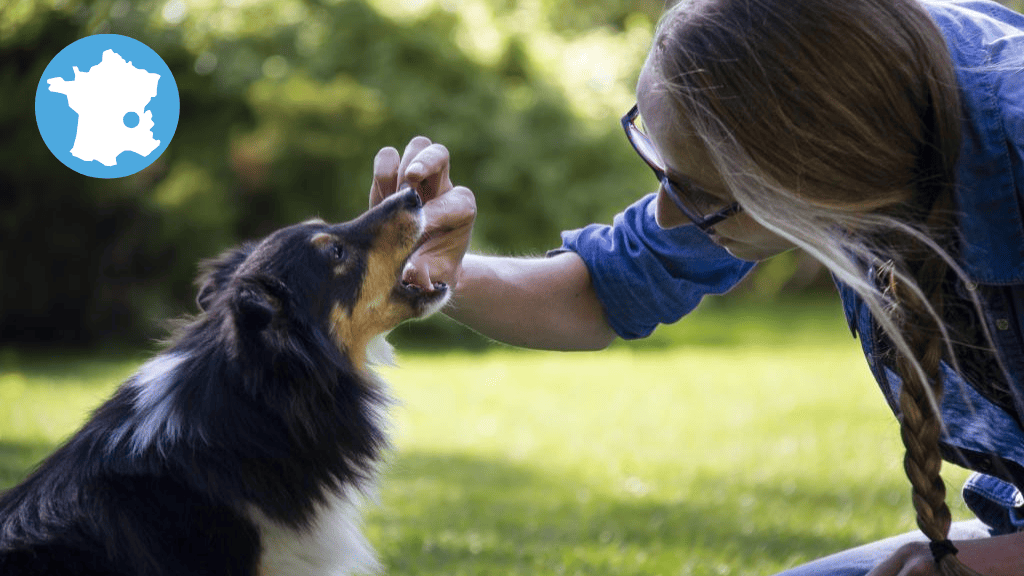 Favoriser la coopération des chiens lors des soins - Lyon (69)