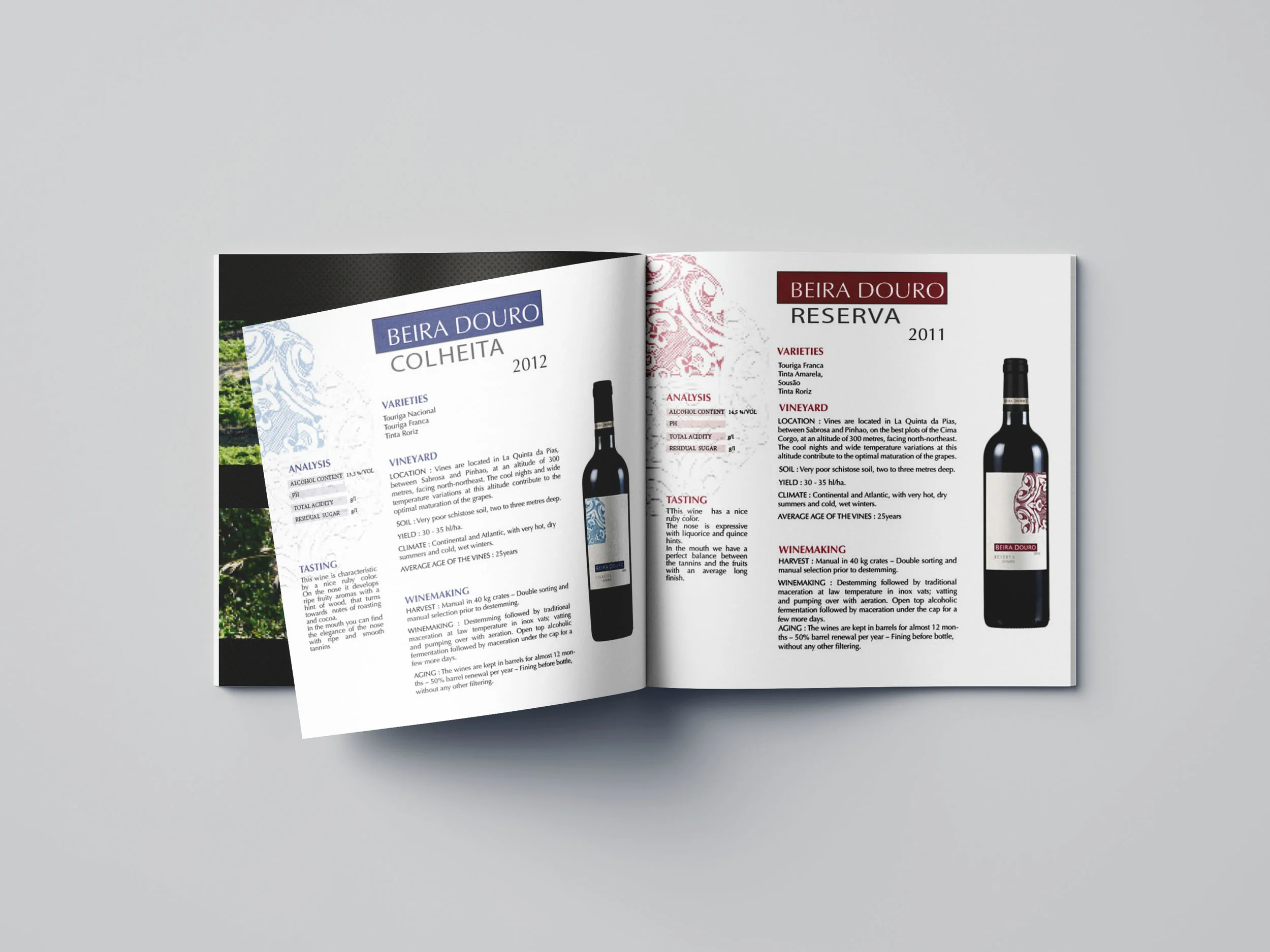 Brochure Beira Douro 2.jpg