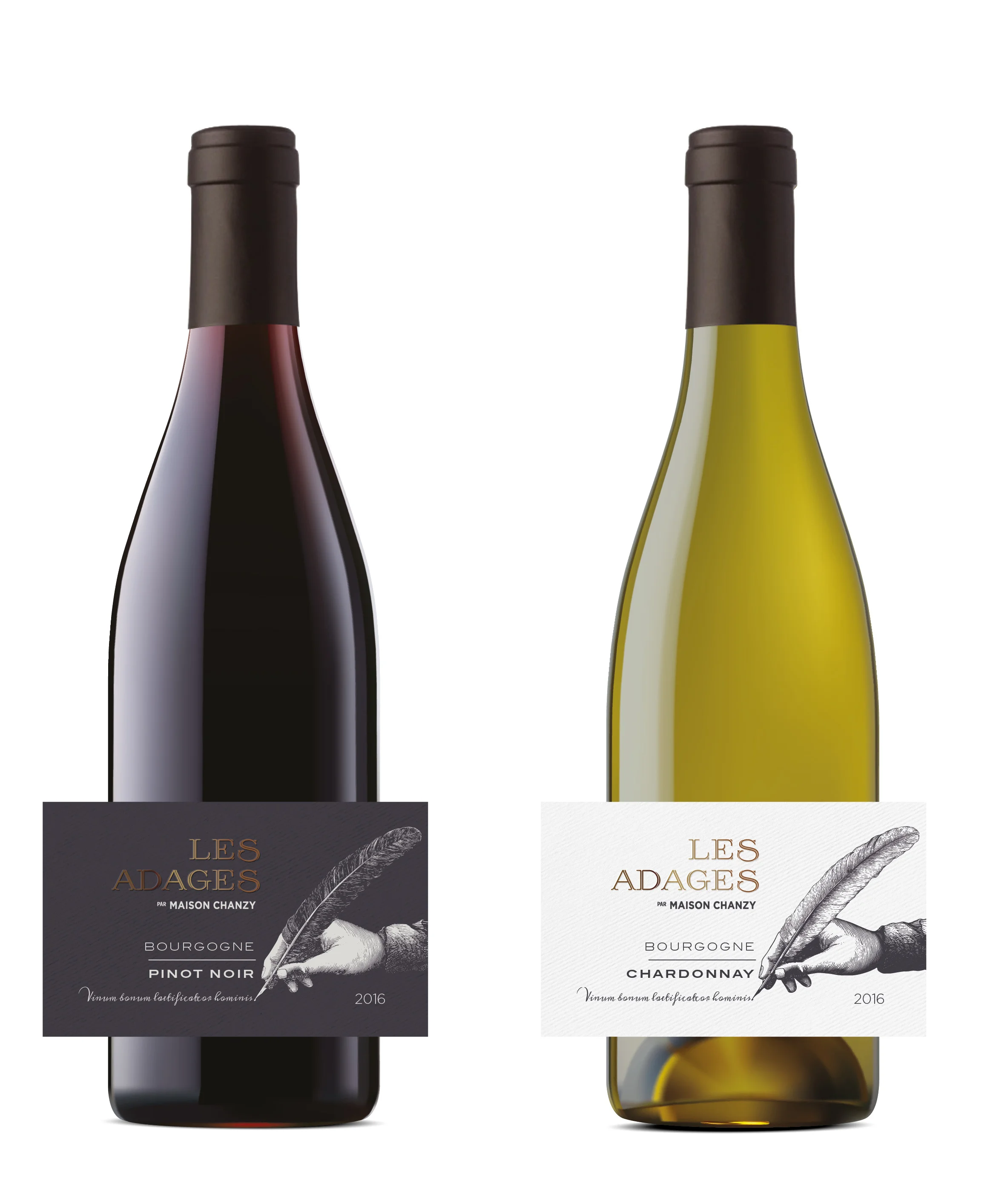 LES ADAGES Final_Page_1.jpg