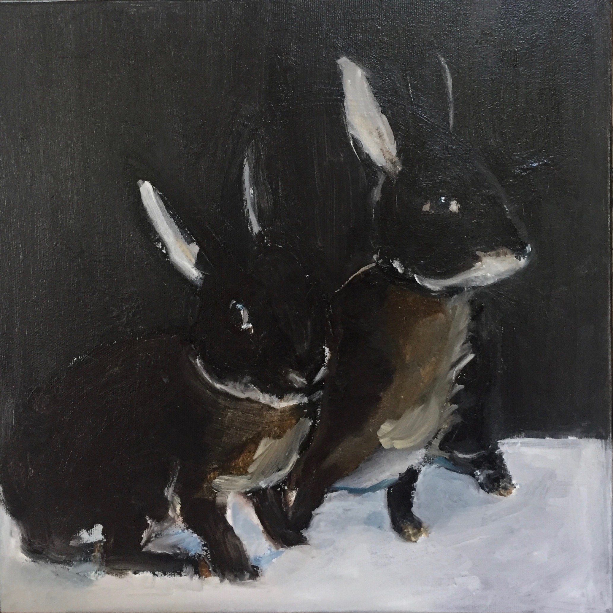 Becky's Bunnies.jpeg