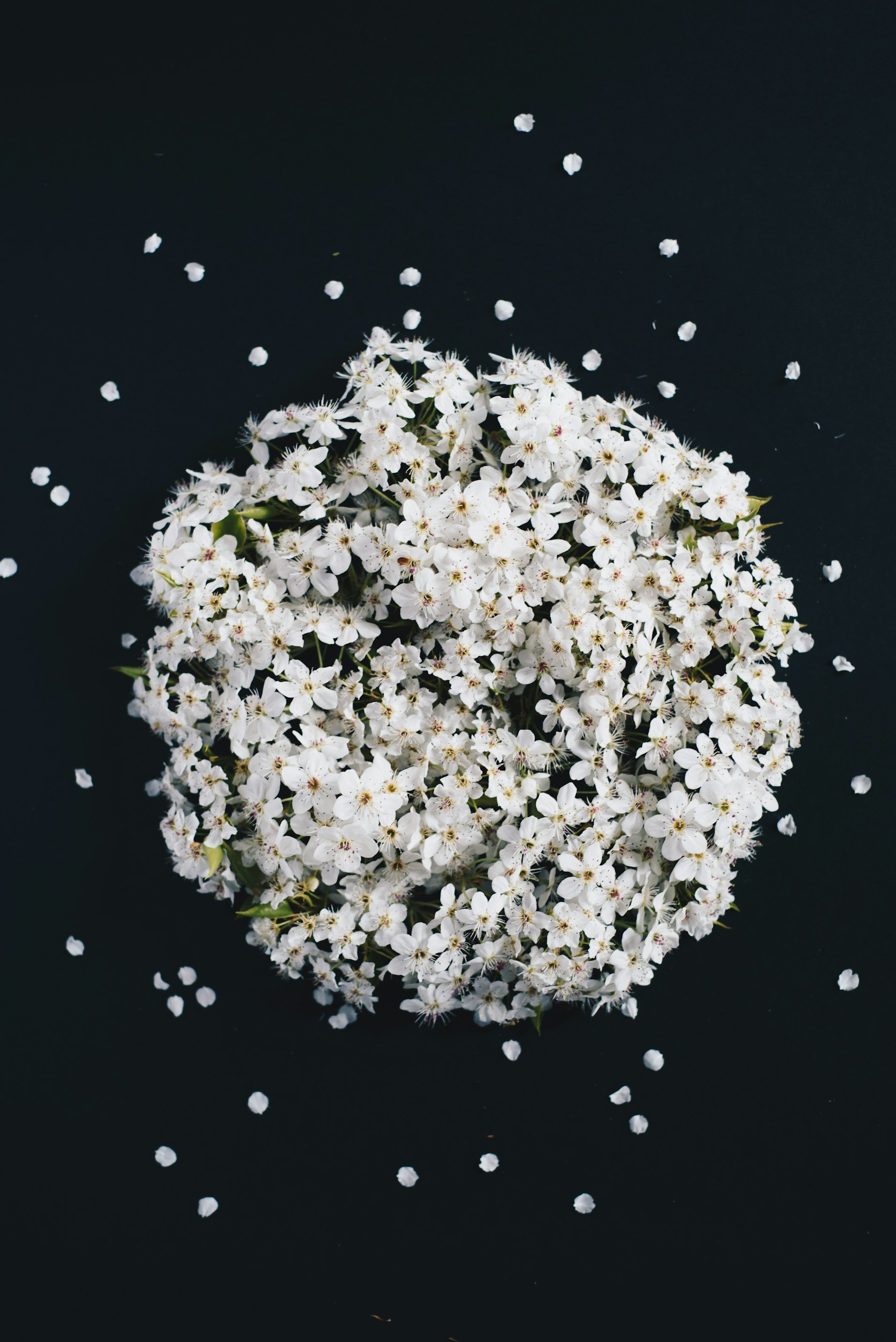 Full Moon Gathering: Mindful Practices and Community Connection