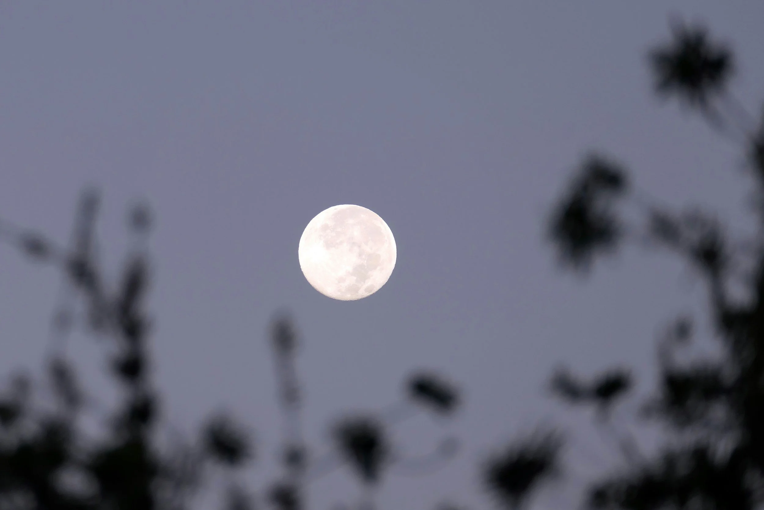 Full Moon Gathering: Mindful Practices and Community Connection