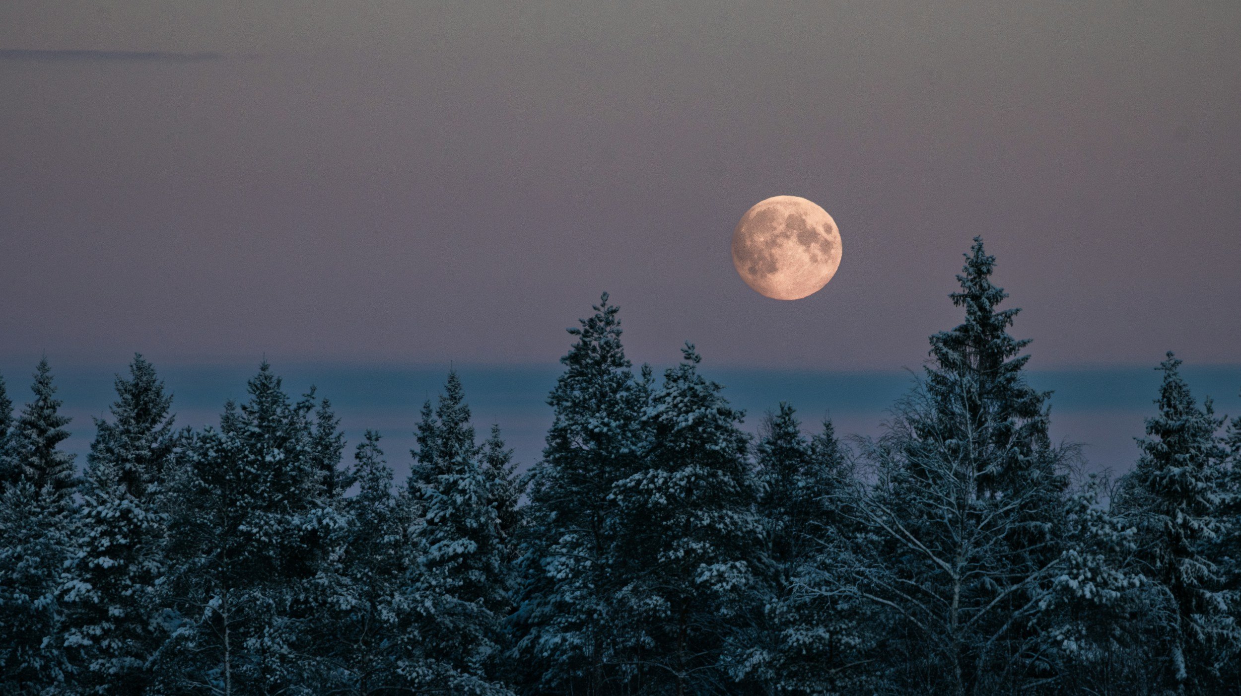 Full Moon Gathering: Mindful Practices and Community Connection