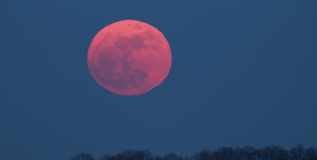 Full Moon Gathering: Mindful Practices and Community Connection