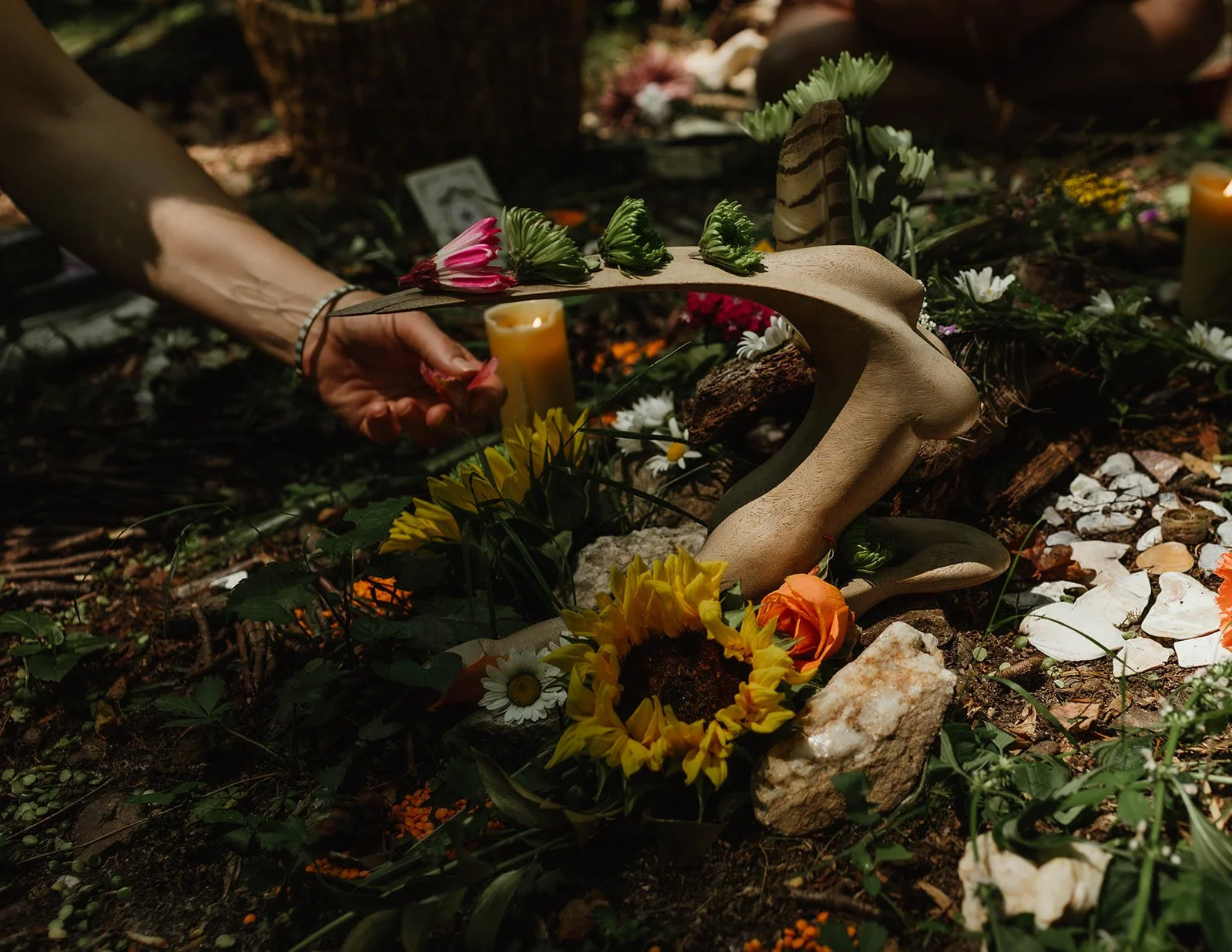 Reclamation: A Sacred Photo Ritual