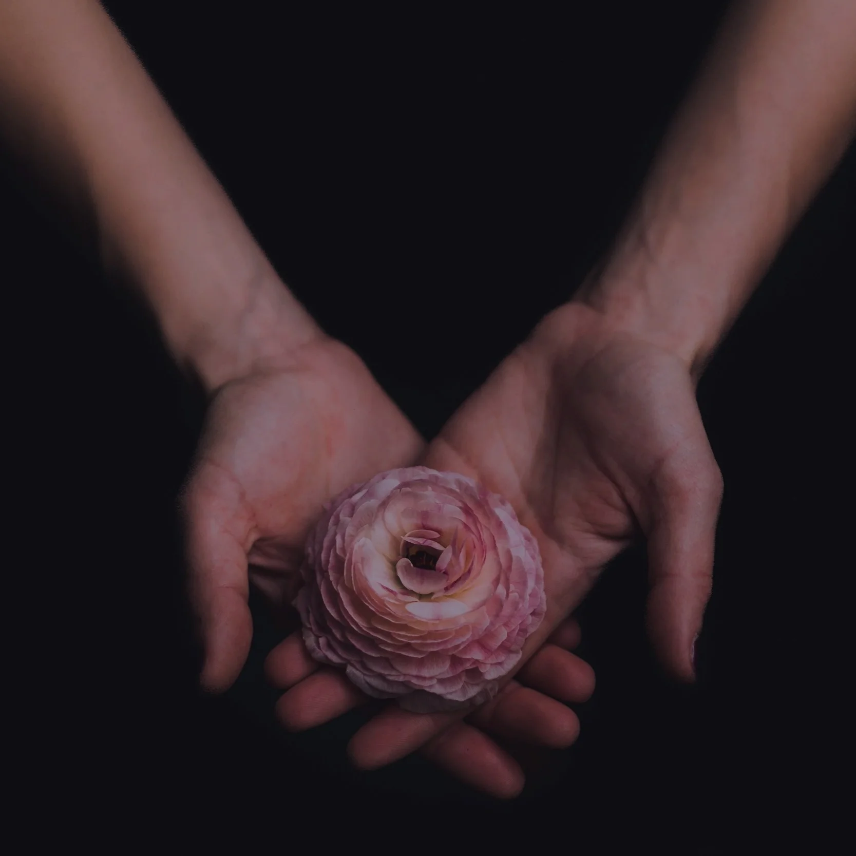 long-island-reiki-gift-card-90min.jpg