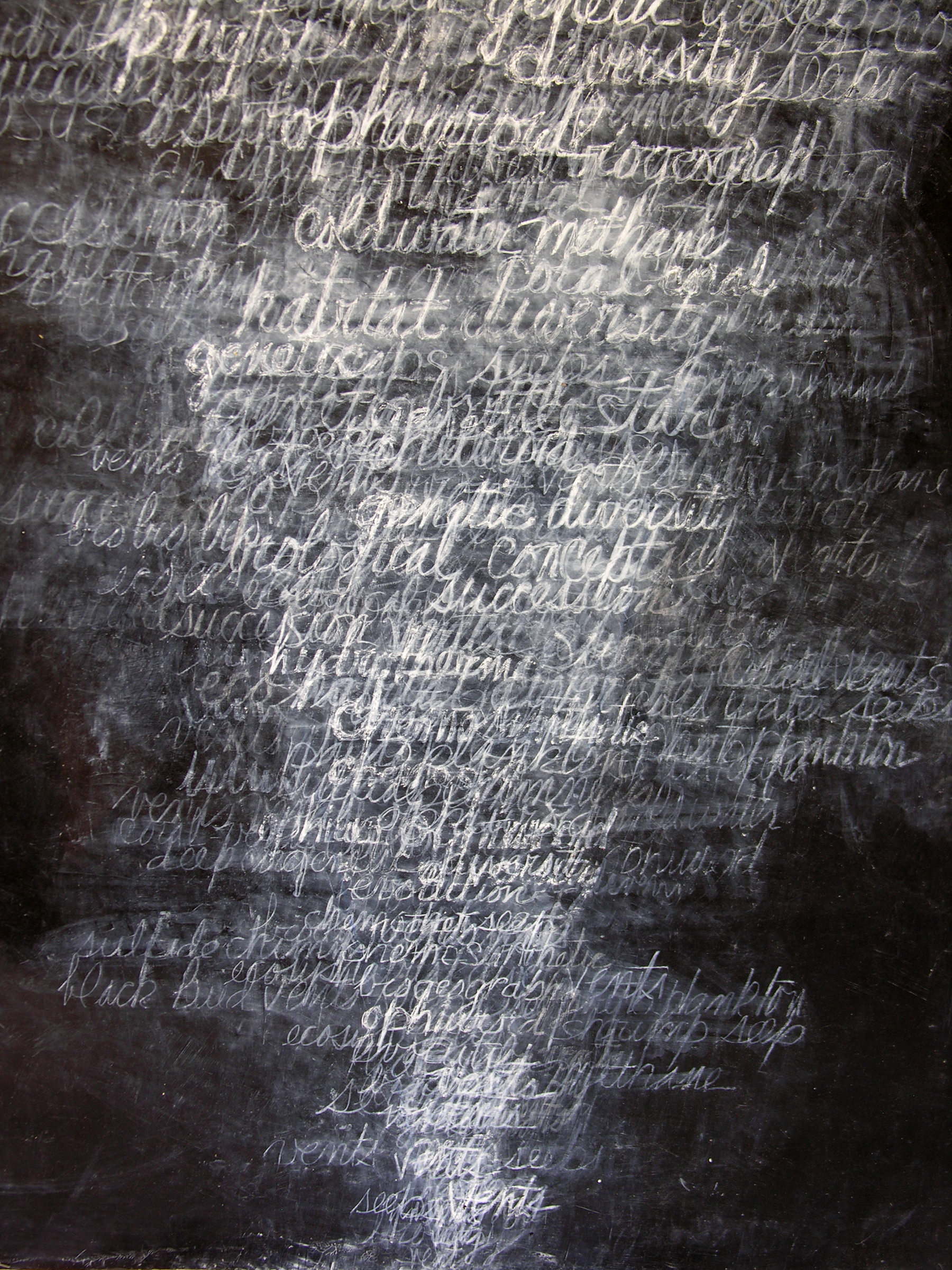"Ocean Stories Series: Vent", Acrylic, Chalk, 50"W x 144"H