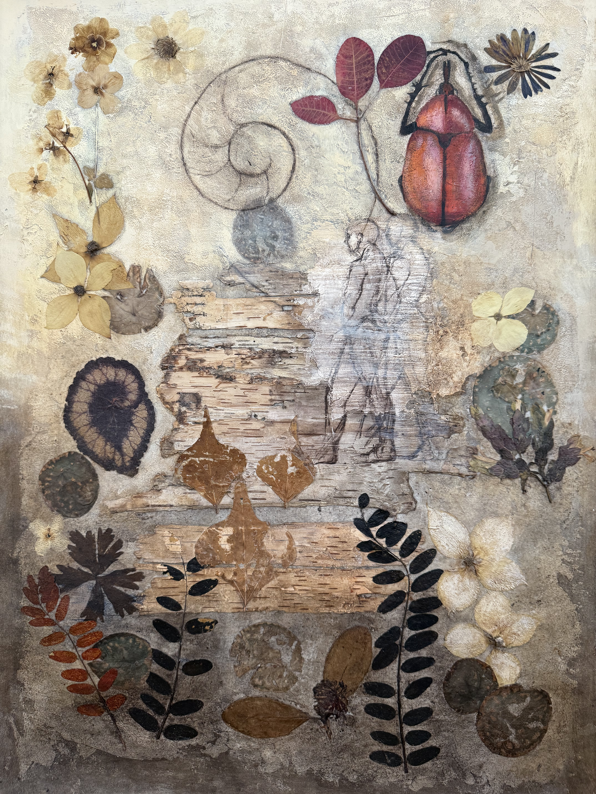 "UNDERSTORY SERIES: VOLUTE", ACRYLIC, CHARCOAL, COLLAGE, 22"W X 30"H