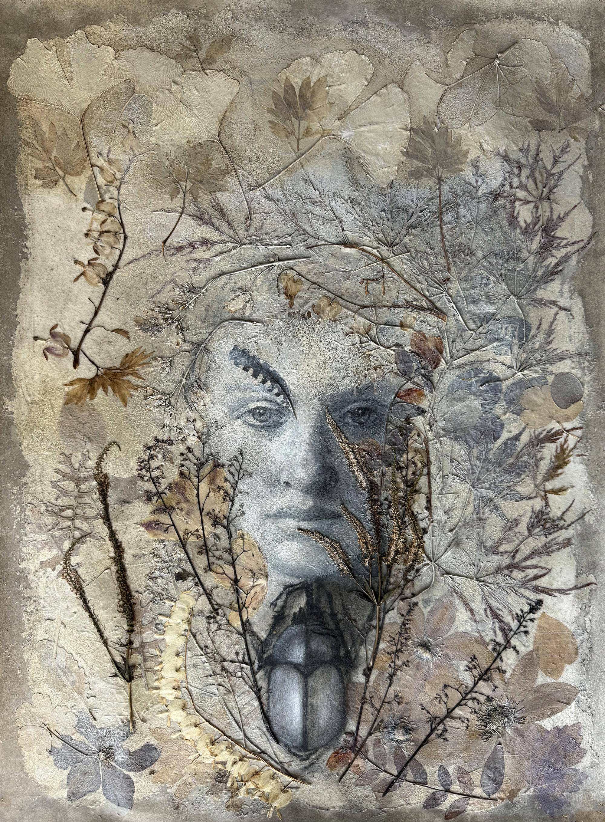 "SILVER BEETLE AMULET", ACRYLIC, CHARCOAL, COLLAGE, 22"W X 30"H