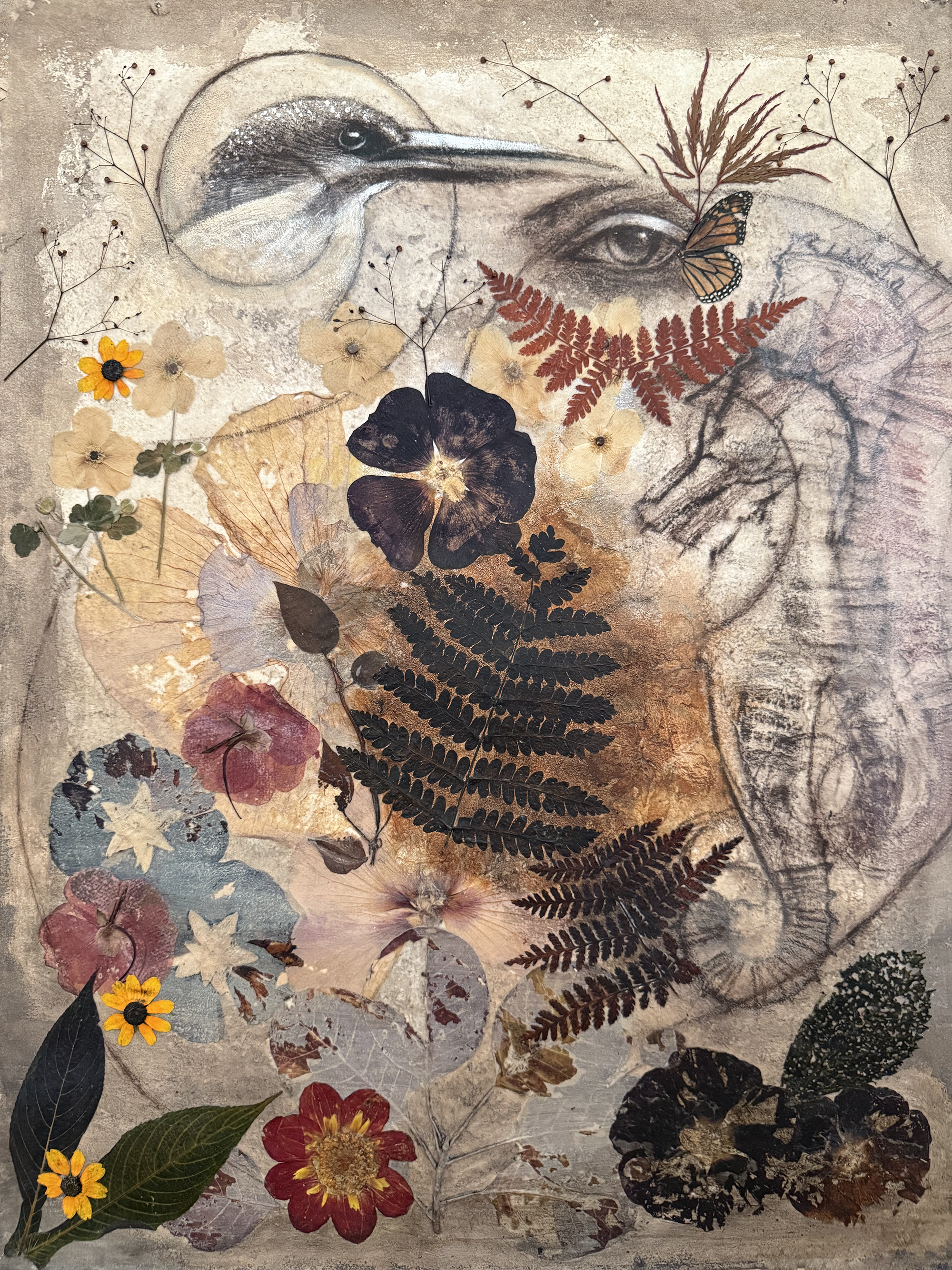 "LIFE FORMS SERIES", ACRYLIC, CHARCOAL, COLLAGE, 20"W X 26"H