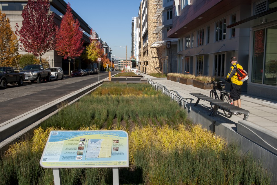 Solution In 2006, Seattle Public Utilities (SPU) proposed to Vulcan Real Estate that they co-develop bio-swales along two blocks owned by Vulcan Real Estate. The four swales, alongside Pontius and Yale Avenues North, were designed to divert the storm water.