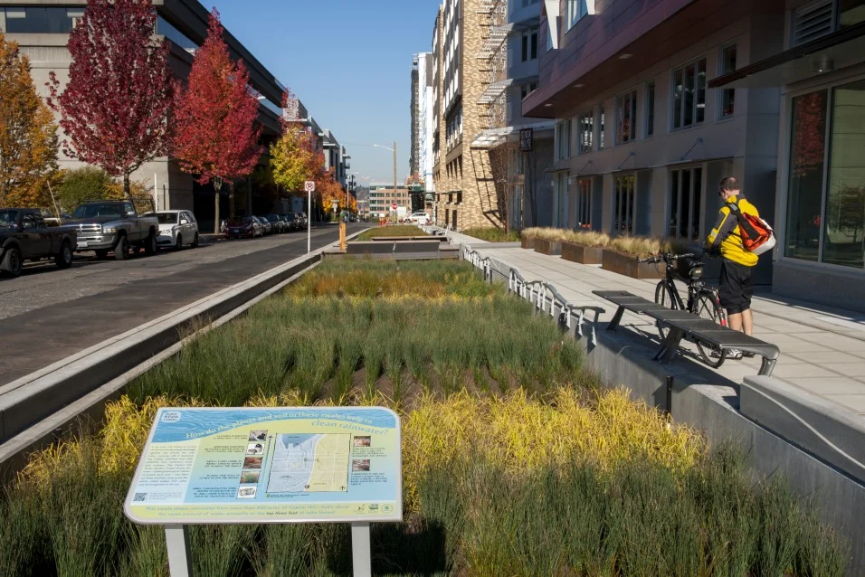 Solution In 2006, Seattle Public Utilities (SPU) proposed to Vulcan Real Estate that they co-develop bio-swales along two blocks owned by Vulcan Real Estate. The four swales, alongside Pontius and Yale Avenues North, were designed to divert the