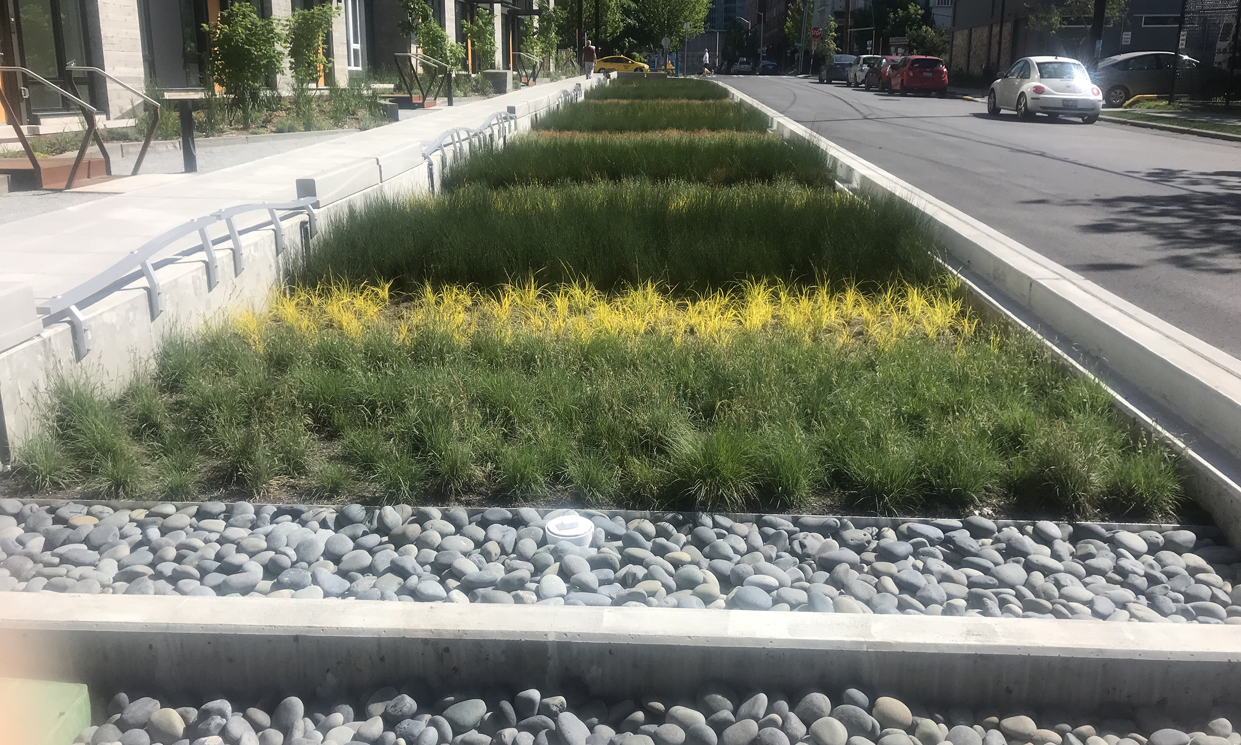 Swale on Yale
