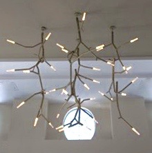 danvers newGROWTH2 linked chandeliers.jpg