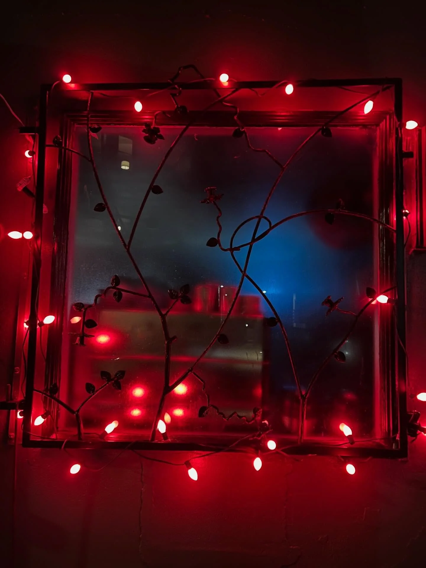 Happy holidays! 

Our steel security gates at KnockBox have been decked out with some awesome red Xmas lights. 

#customwindowtreatments #wroughtirongate #securitygate #decorativeironwork #cplighting