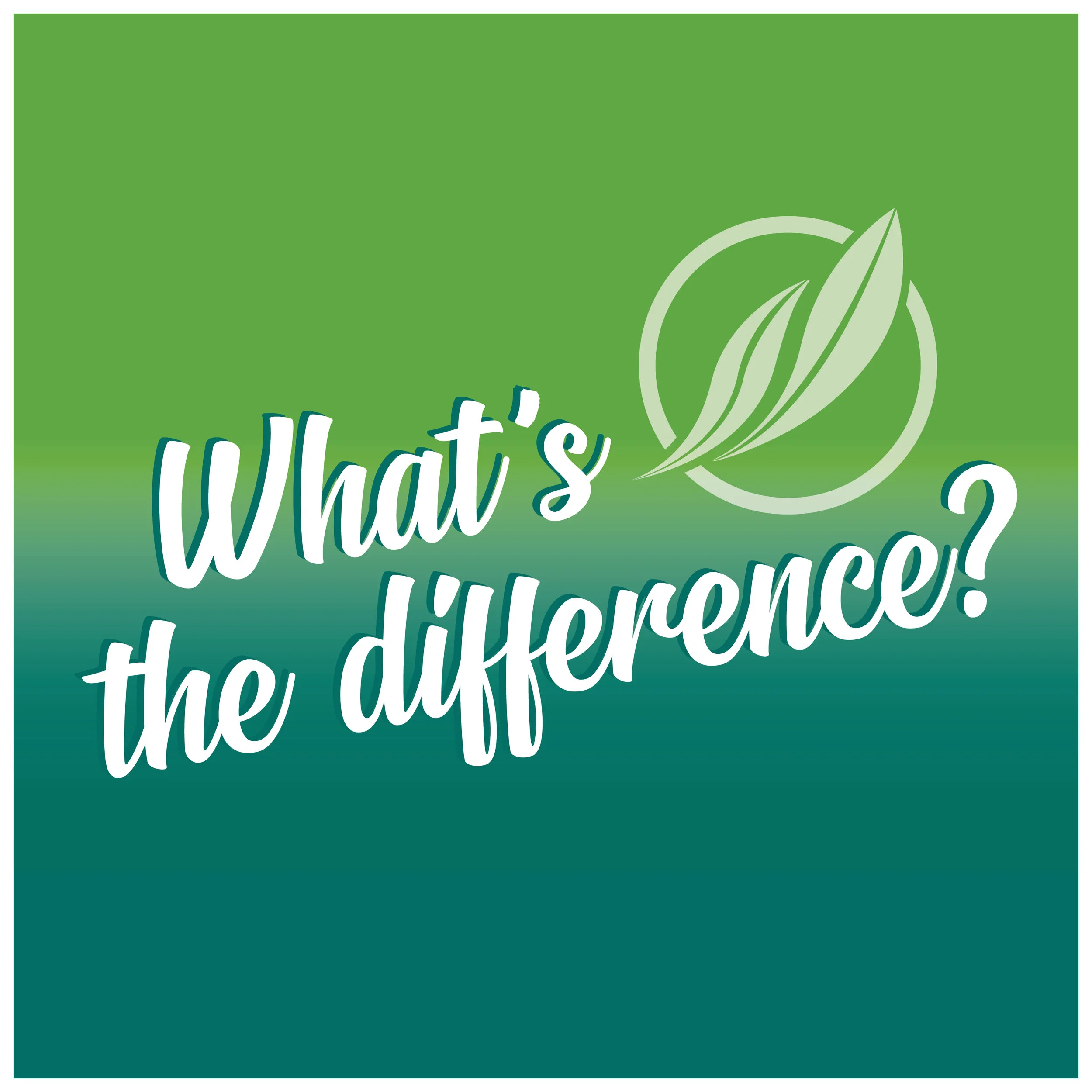 What's the Difference?