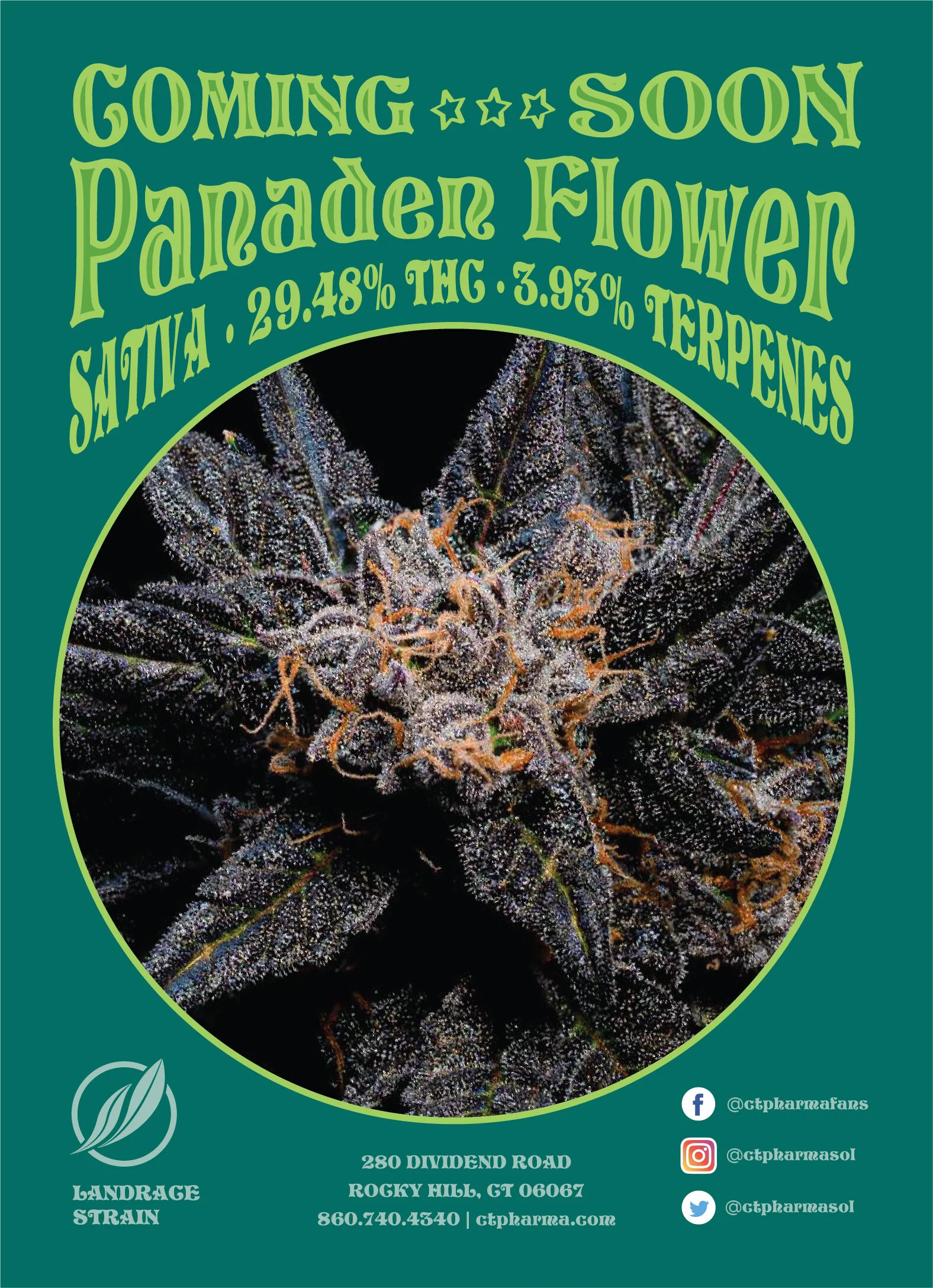 SPOTLIGHT - Landrace Strain &amp; New Product: ELIXIR