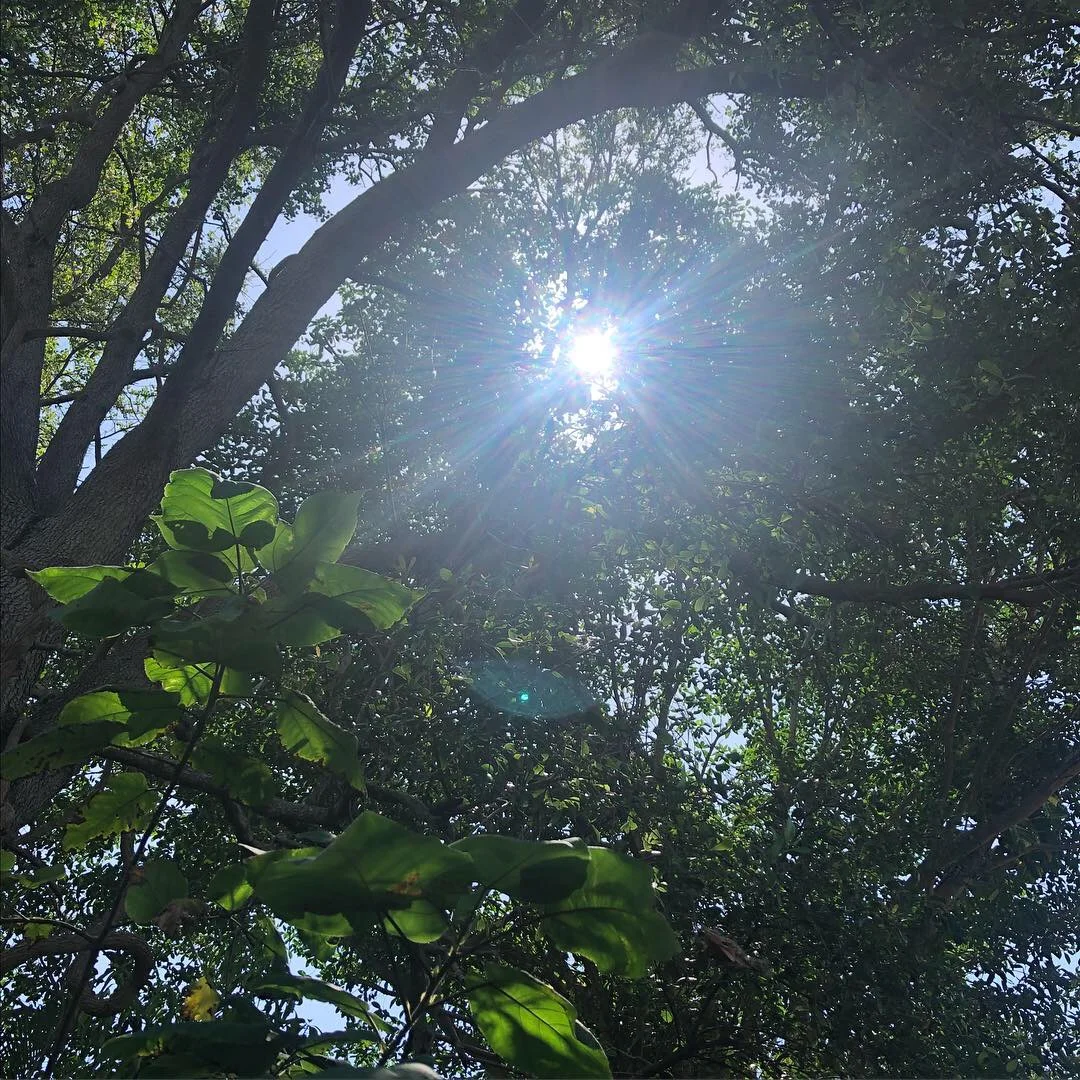 Guided by Light