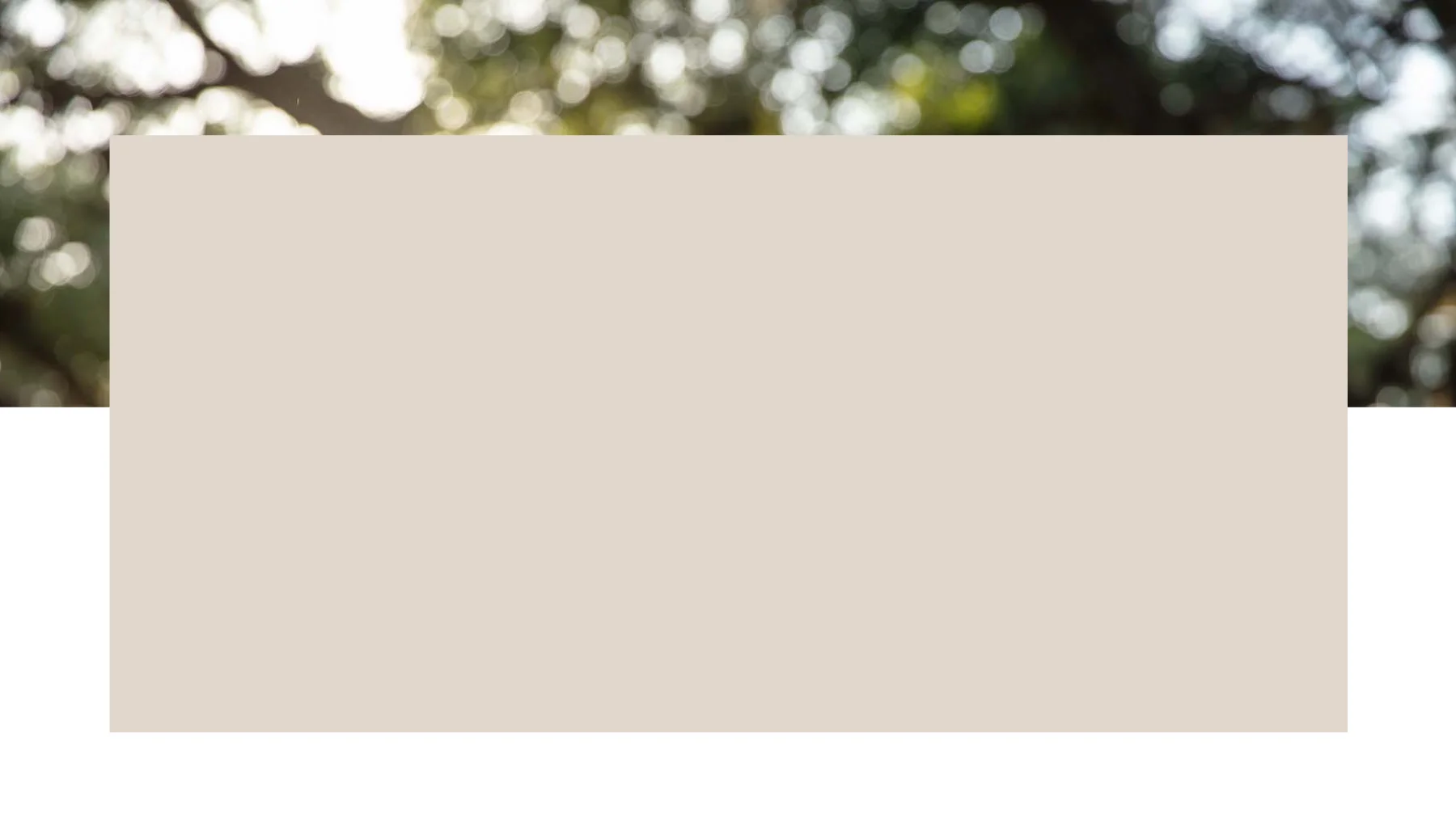 services-banner.jpg
