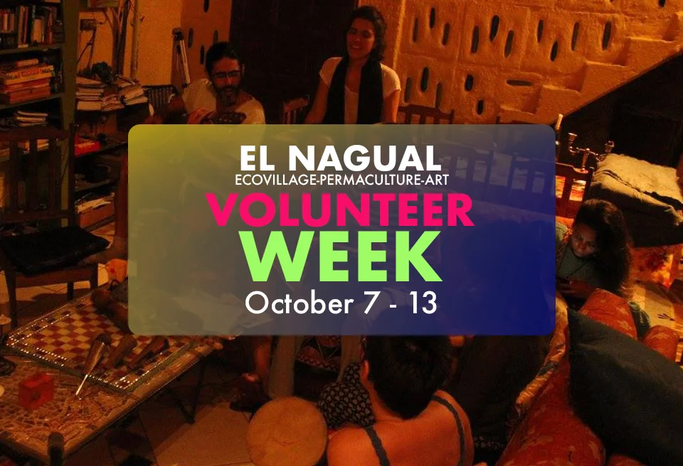 Volunteer Week banner.jpg
