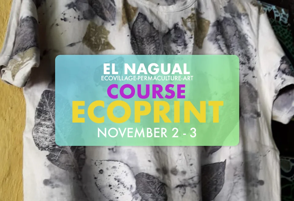 ecoprint banner Ingles.jpg