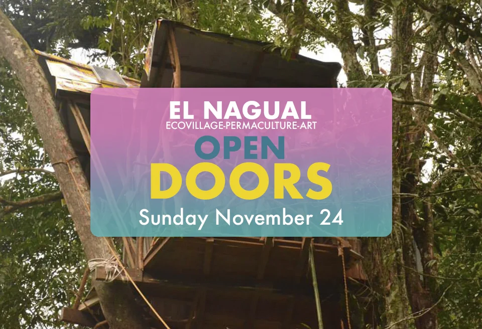 open doors banner nov.jpg