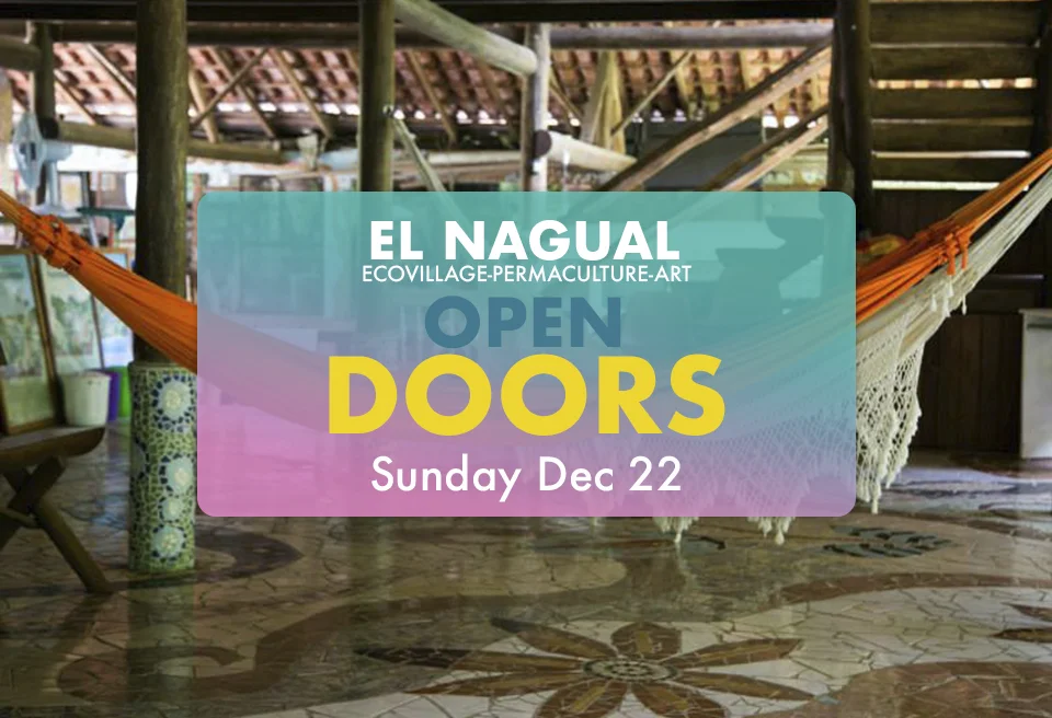 open doors banner nov.jpg