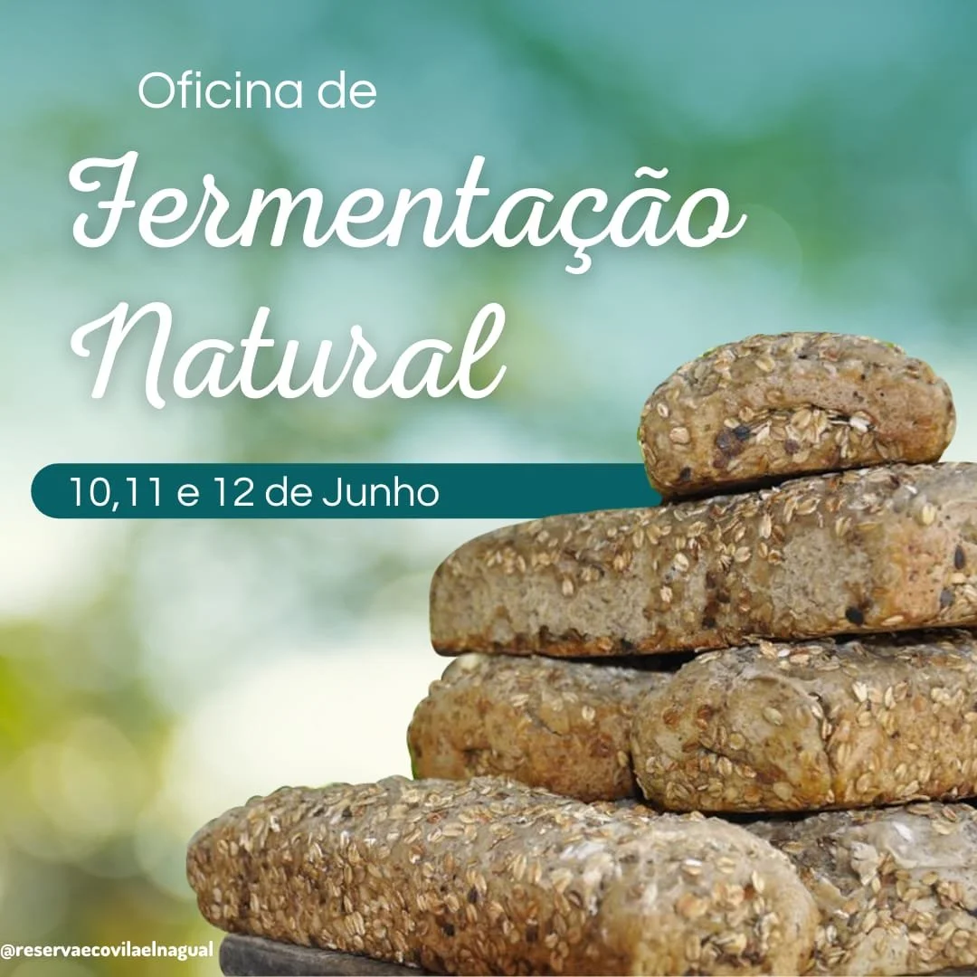 Oficina de Fermentação Natural