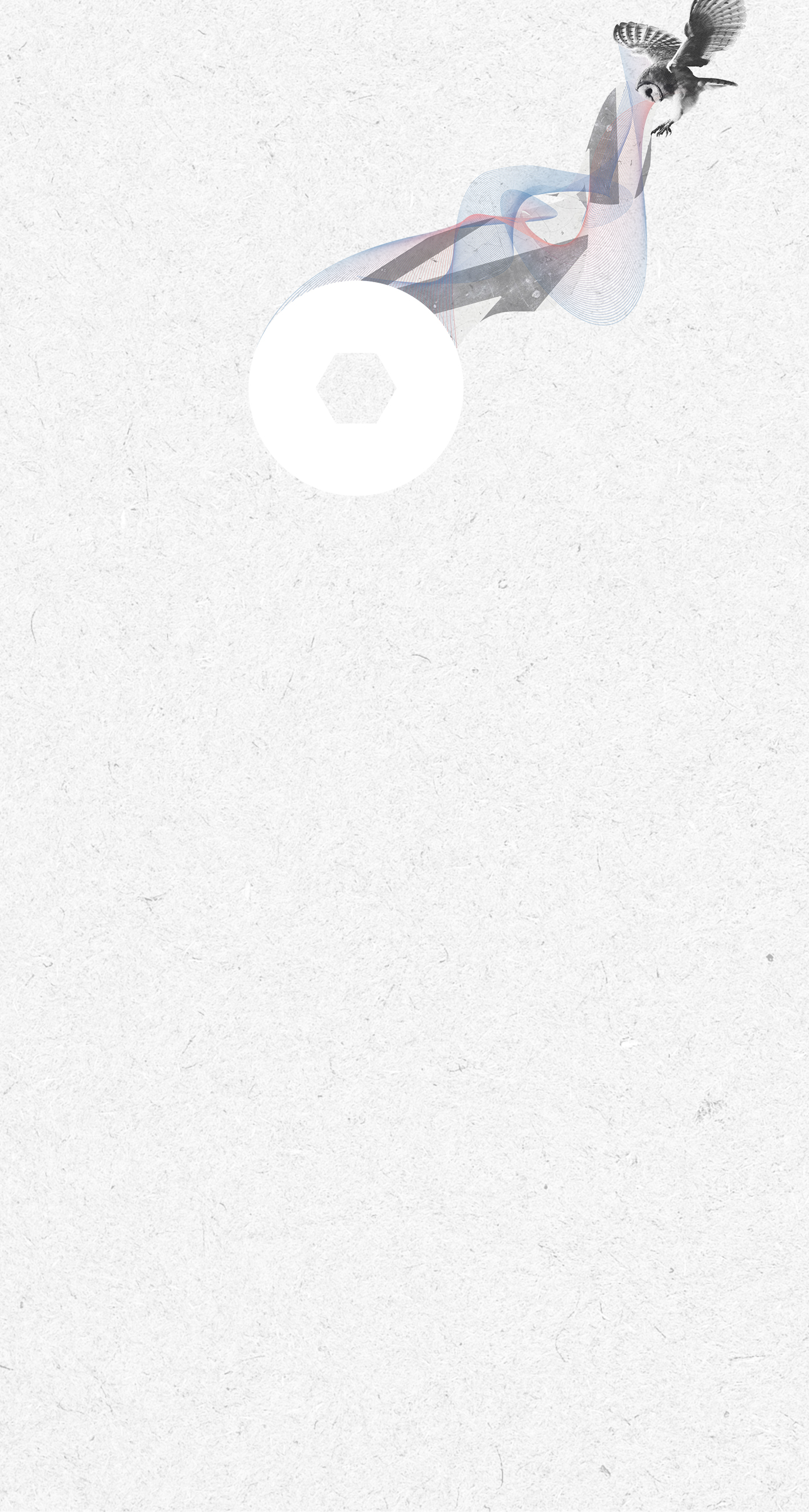 Background_withOwl.jpg