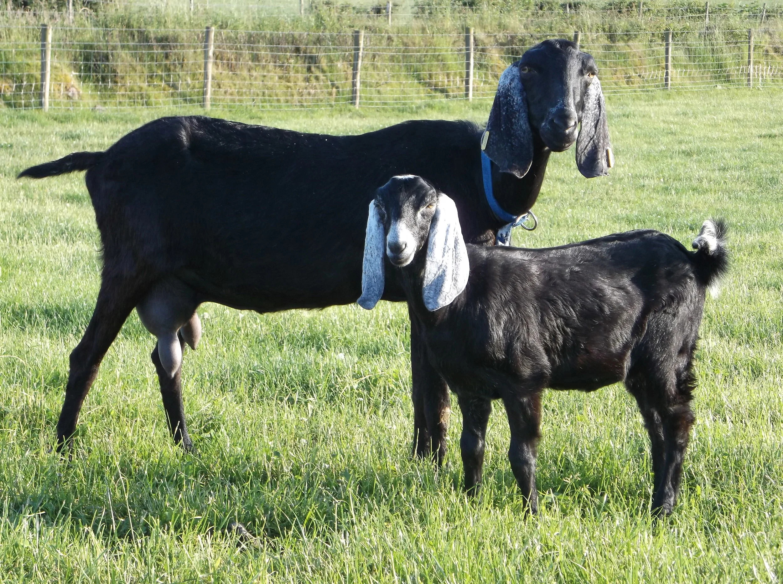 Welcome To Our New Website!