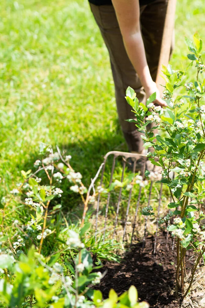 Welcome to our new website!