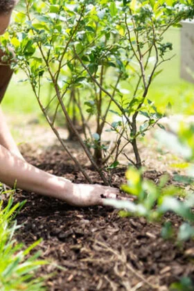 Yes, we are STILL open!