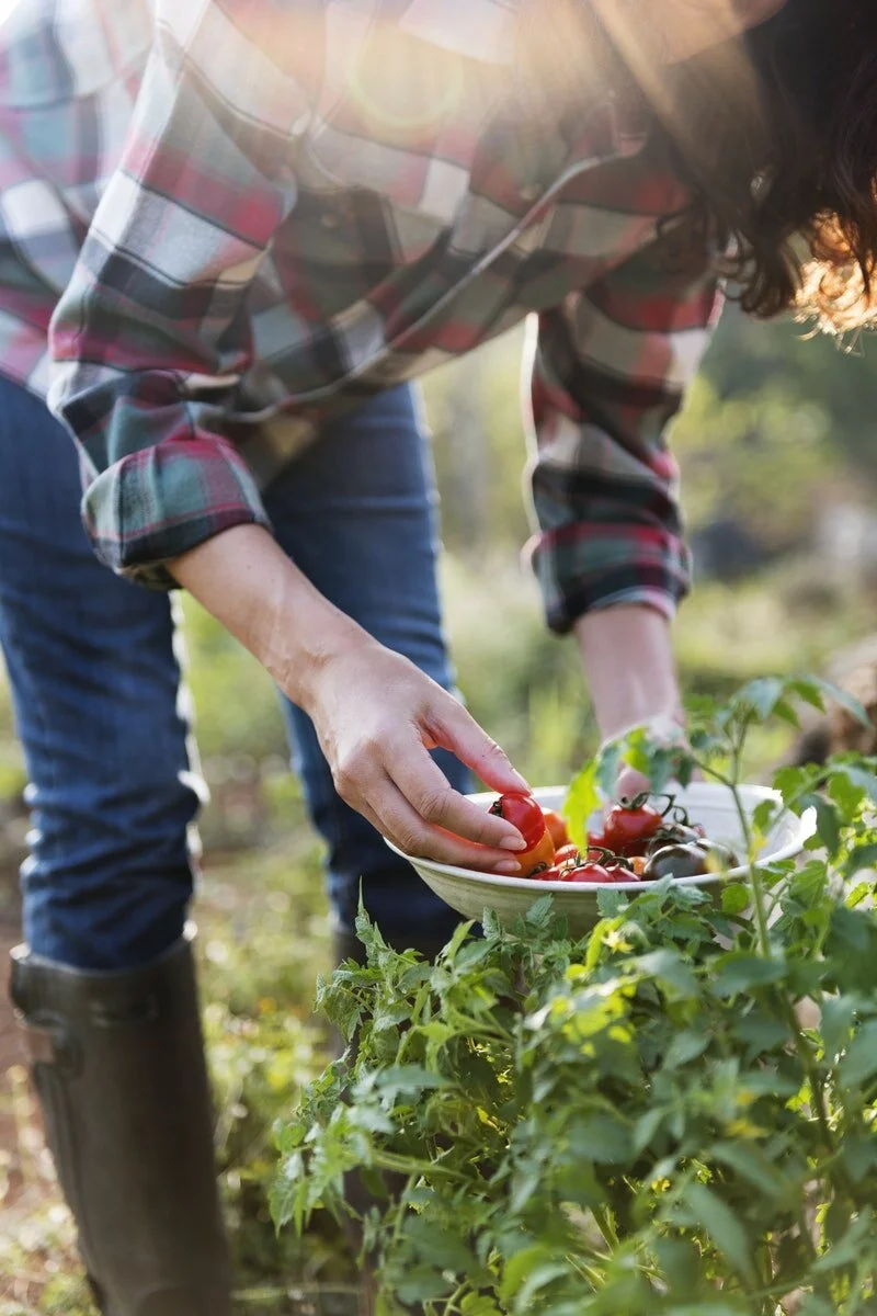 *NEW* Changing Hours