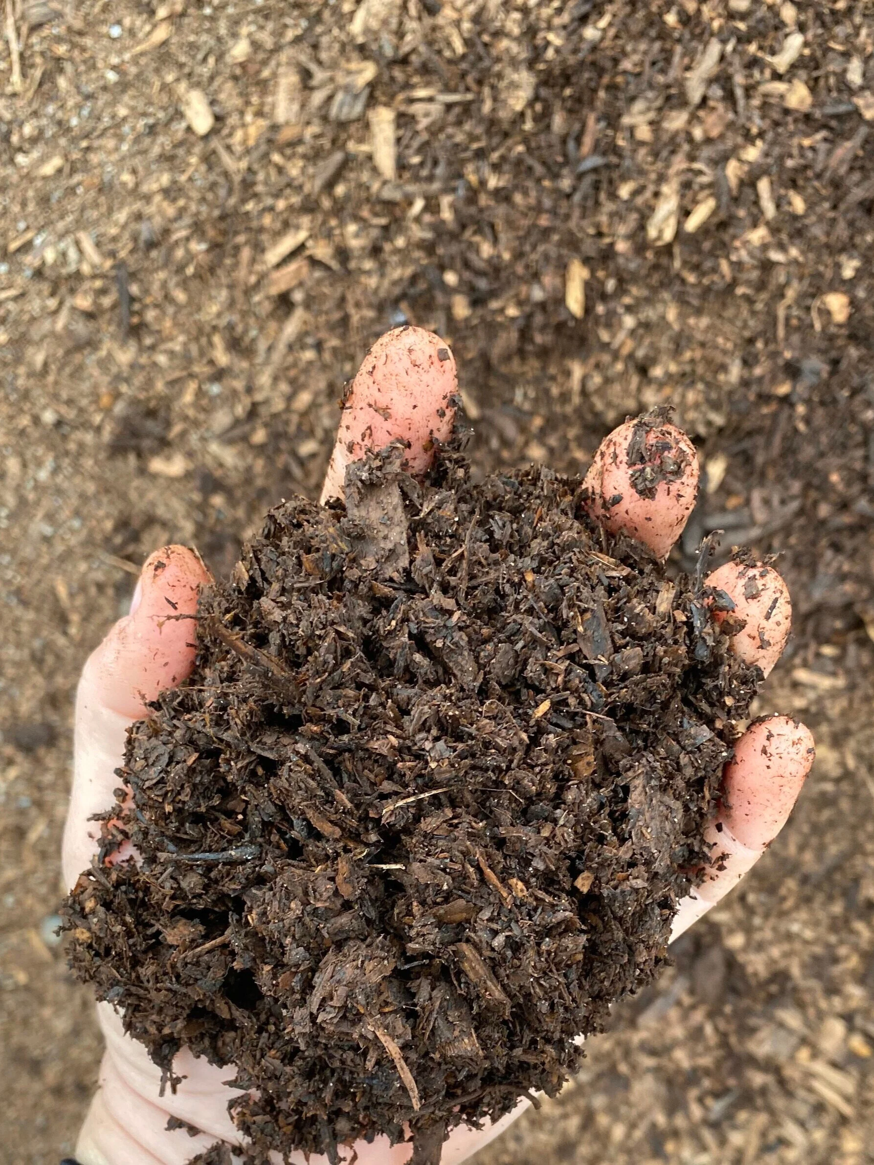 Composted Mulch Update