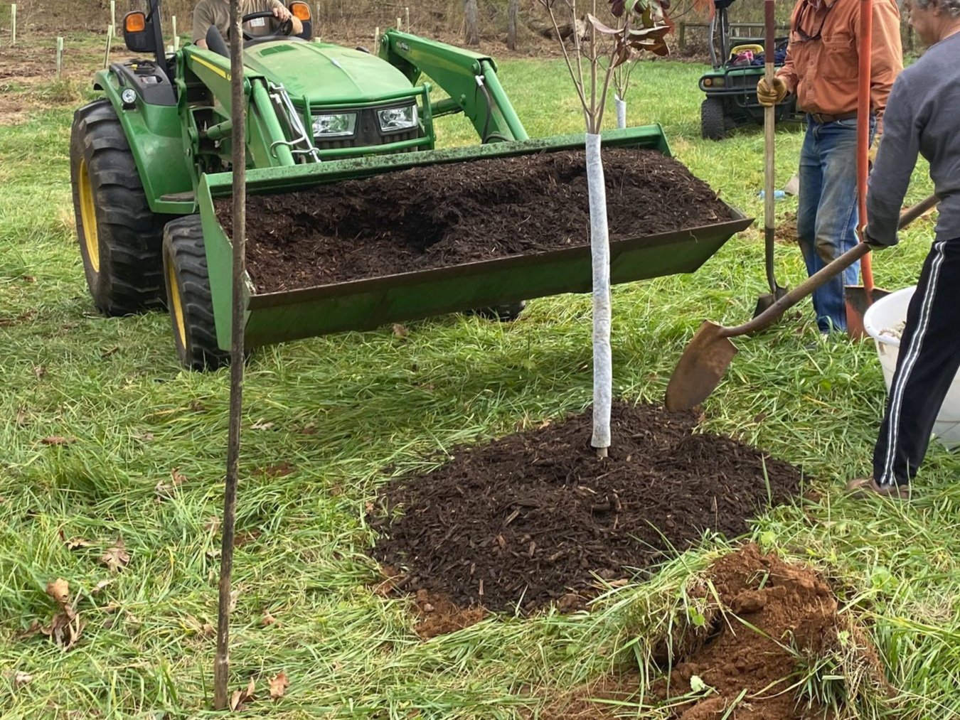 Everyday Mulch