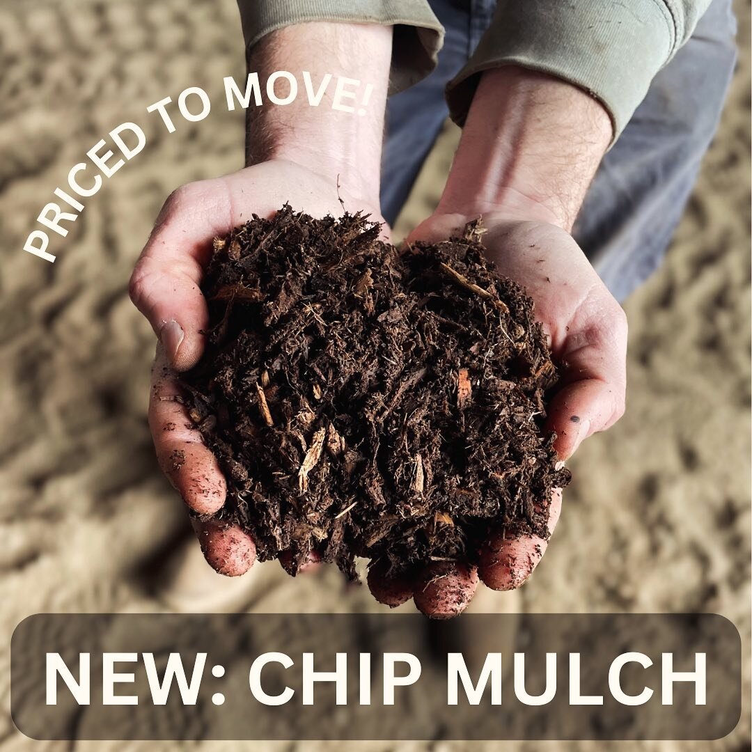 New Chip Mulch available for a limited time. Aged chips, double ground into a fine mulch producing a great all purpose mulch with enough organic material to feed your soil as well as protect it. PRICED TO MOVE at $17/cy plus deep discounts for larger
